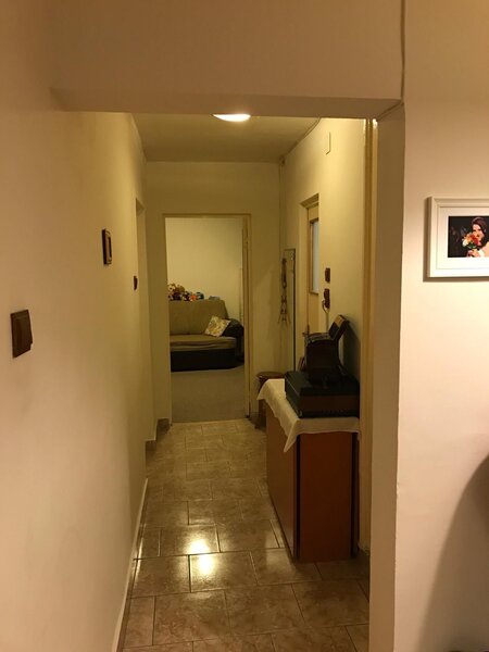 Tineretului apartament  parter comision 0